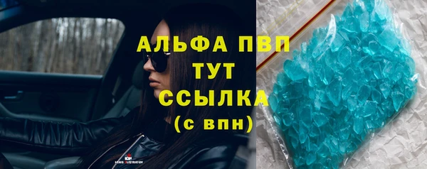 сатива Кулебаки