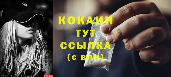 сатива Кулебаки