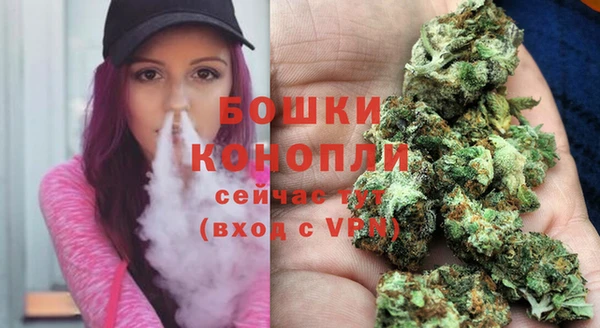 сатива Кулебаки