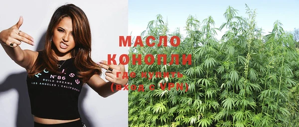 сатива Кулебаки