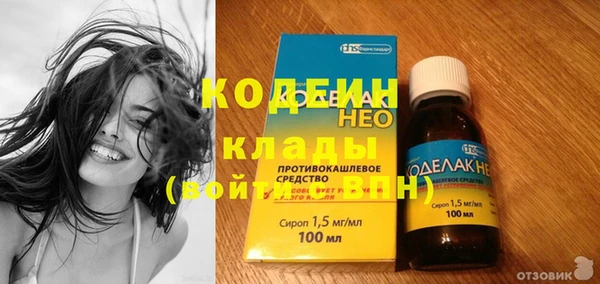 сатива Кулебаки