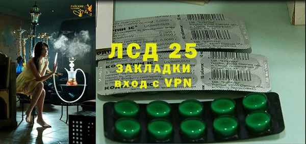 сатива Кулебаки