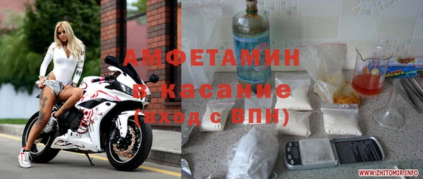 сатива Кулебаки