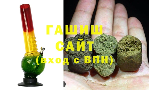 сатива Кулебаки