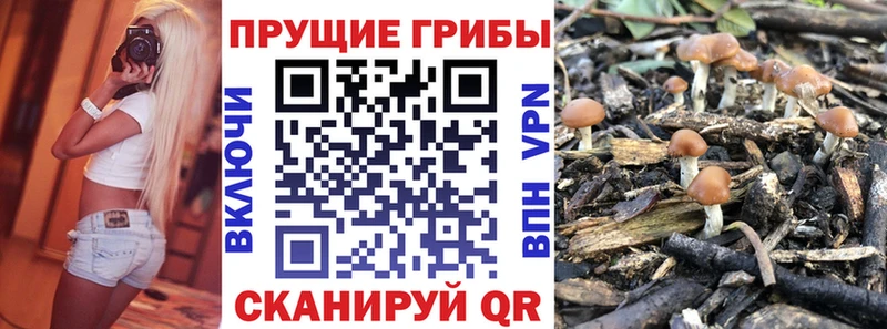 Галлюциногенные грибы Cubensis  Купить закладки  Бутурлиновка 