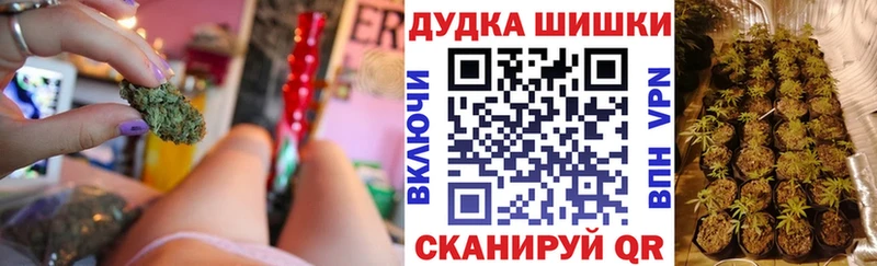 Бошки Шишки гибрид  Купить закладки  Бутурлиновка 